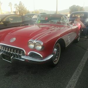 Meet your Posher, Lily